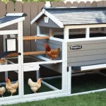 Chicken Coops